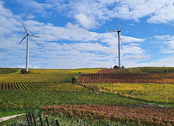 Rheinhessische Landschaft im Herbst: Das Bild zeigt eine Landschaft mit zwei Windturbinen, die in mittlerer Entfernung positioniert sind. Sie befinden sich vor dem Hintergrund eines teilweise bewölkten Himmels. Der Vordergrund- und Mittelgrund besteht aus Wingerten in verschiedenen Herbstfärbungen. Die Wingerte liegen in sanft hügeliger Landschaft. In der unteren Ecke ist ein Weg sichtbar, der sich durch die Landschaft schlängelt.